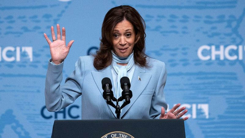  Harris team ‘not aware’ of stolen Trump docs sent ‘directly’ to Biden camp