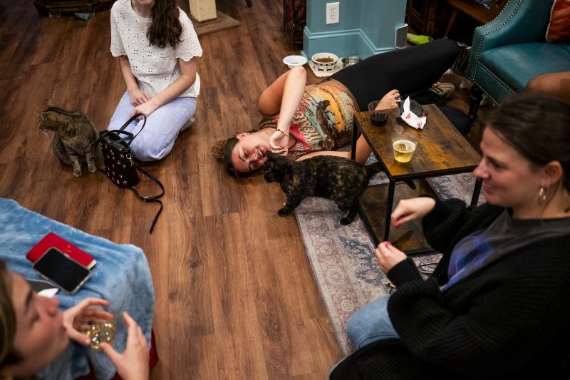  At one cat cafe, Vance’s ‘childless cat ladies’ remark prompts derision