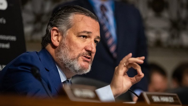  Cruz interrupted by anti-Israel agitator who yelled, ‘F—ing Jews’ during hearing on ‘hate’