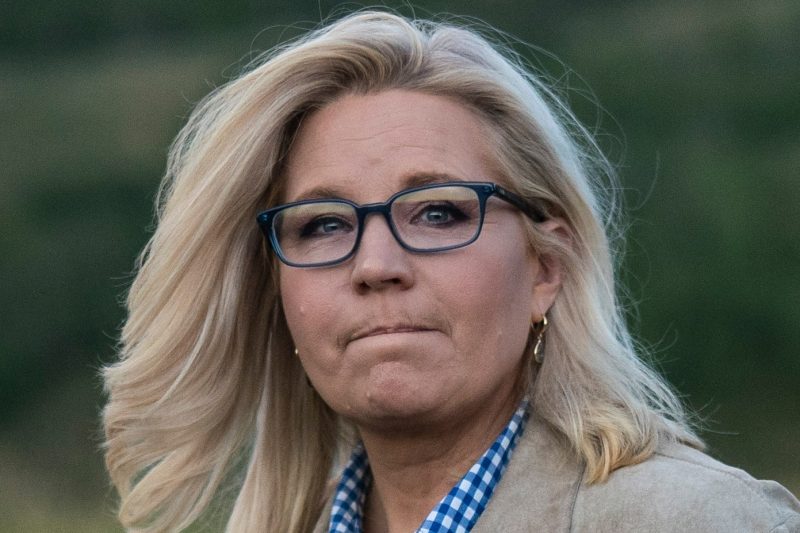  Republican Liz Cheney says she will vote for Kamala Harris this election