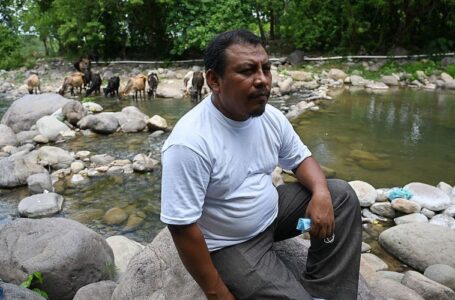 Honduran anti-mining activist who fought to save rivers is killed