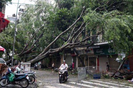 Typhoon Yagi kills dozens in Vietnam, China, Philippines