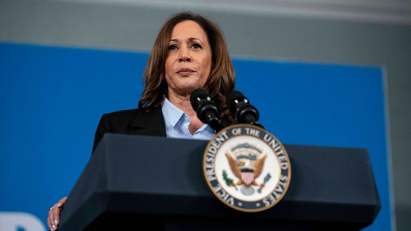  Liberal group indicates they think Harris is pretending to moderate her immigration views before election