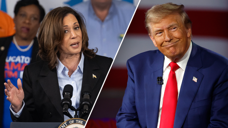  Voters report Kamala Harris is more radical than Trump: ‘too liberal or progressive’