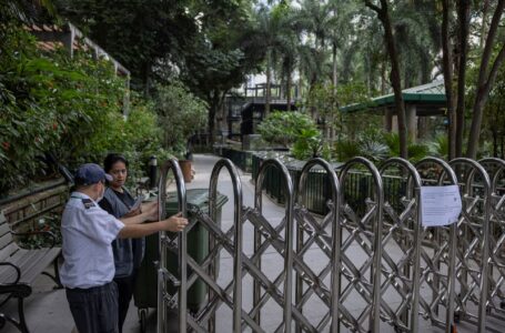 Monkeys killed by soil infection at Hong Kong zoo, officials say