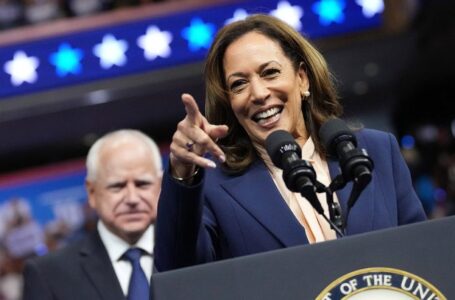 Harris campaign plagued by surrogates’ gaffes: ‘Colossally inept campaign’