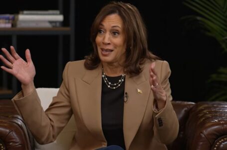 Harris says what she’s doing is ‘not new,’ but as president she would take a ‘new approach’ in puzzling answer