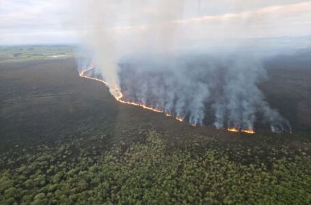 Firefighters battle huge blaze tearing through New Zealand wetland home to threatened species