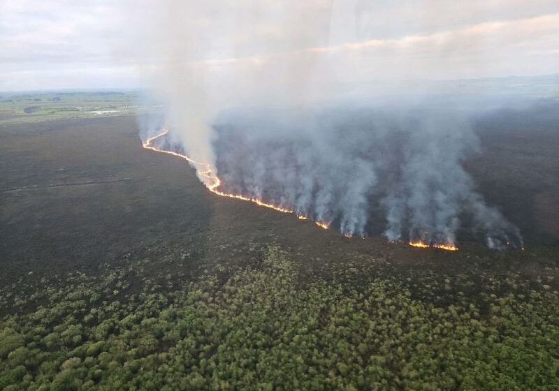  Firefighters battle huge blaze tearing through New Zealand wetland home to threatened species