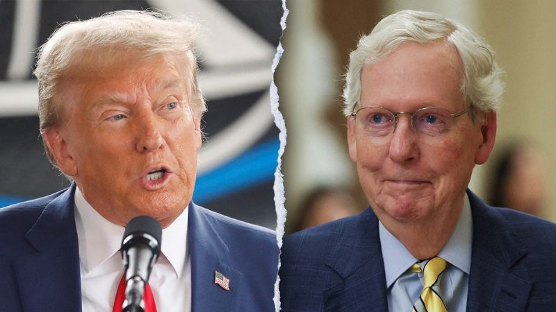  ‘Despicable human being’: McConnell’s 2020 thoughts on ‘sleazeball’ Trump revealed in new book