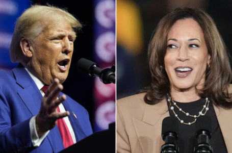 Trump merchandise outsells pro-Harris by striking margin, as Election Day draws near