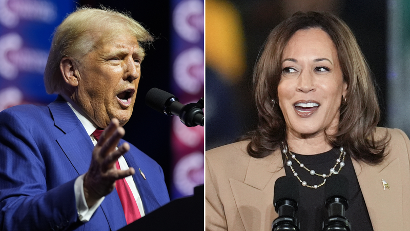  Trump merchandise outsells pro-Harris by striking margin, as Election Day draws near