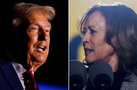 Trump claims Harris runs ‘a campaign of absolute hate’ following backlash to Madison Square Garden rally