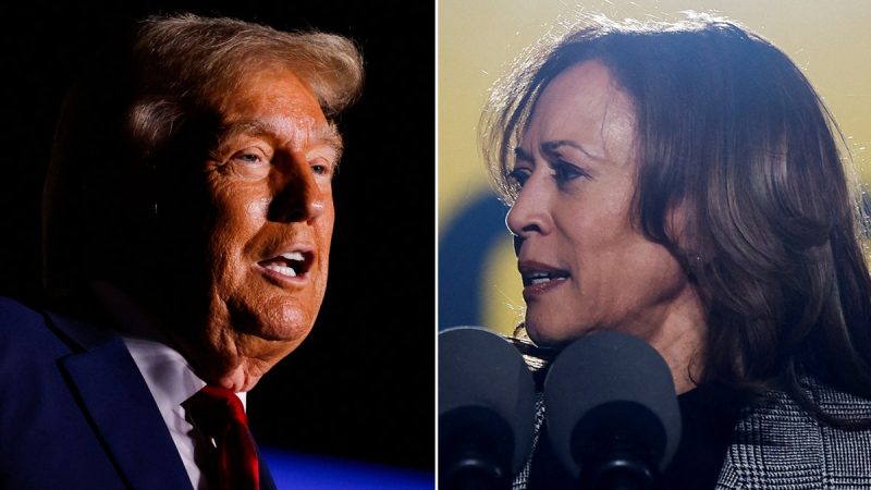  Trump claims Harris runs ‘a campaign of absolute hate’ following backlash to Madison Square Garden rally