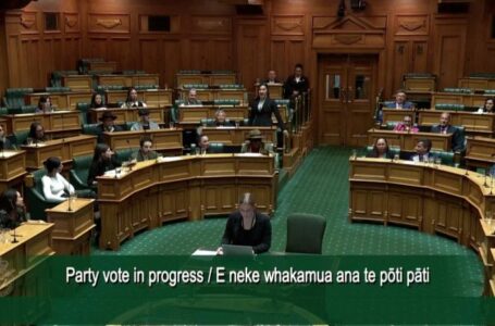 New Zealand MPs disrupt parliament with haka to protest Indigenous treaty bill