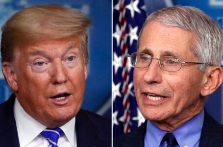 Fauci ripped over new paper criticizing Trump on coronavirus, promoting natural origin theory: ‘Embarrassment’