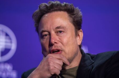 Elon Musk joined Trump call with Ukraine’s Zelensky after US election