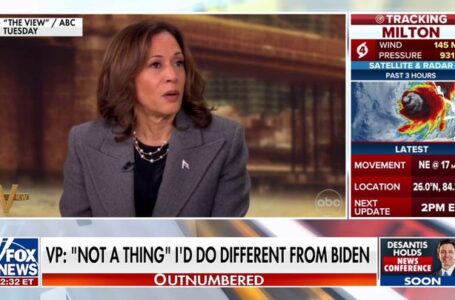 Dem Party blame game: Accusations fly as to who is responsible for Harris’ massive loss to Trump