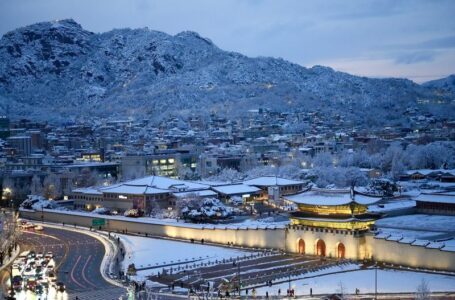 Delight and disruption as record November snowfall hits Seoul