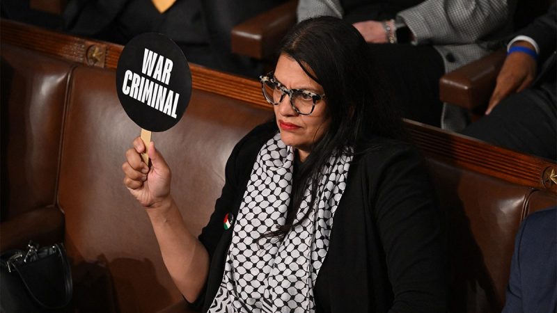  Rashida Tlaib refuses to endorse Kamala Harris as Gaza war takes toll on Dem voter base