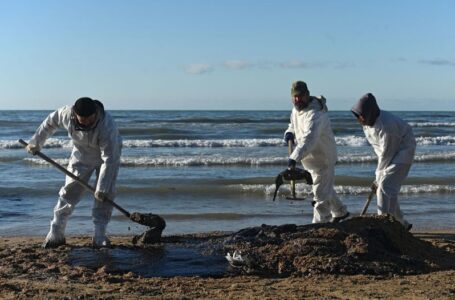 ‘Ordinary people with shovels’: Volunteers cleaning Black Sea oil spill ask Putin for help