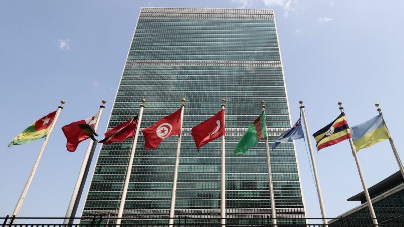  Former high-level United Nations officials to launch ‘DOGE-UN’ to highlight agency inefficiencies