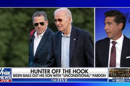 Dem Rep. Dean Phillips blasts Biden after Hunter pardon, says some people ‘are indeed above the law’