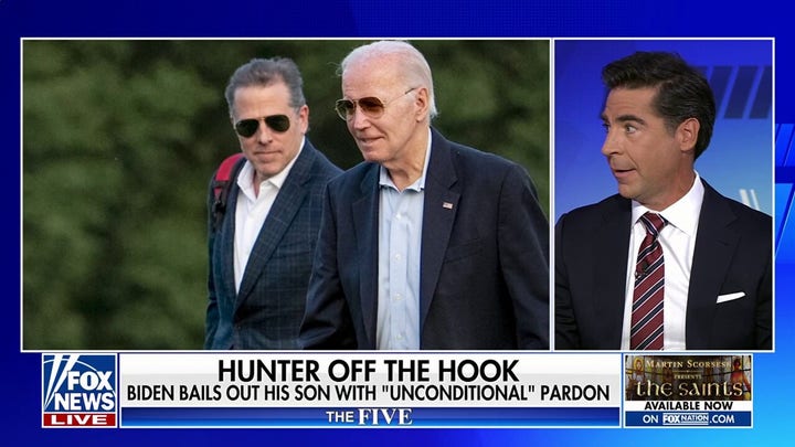  Dem Rep. Dean Phillips blasts Biden after Hunter pardon, says some people ‘are indeed above the law’