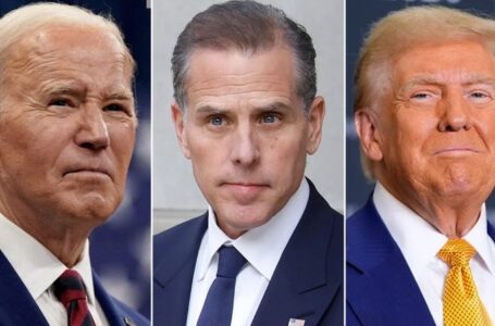 Biden, Trump both rip DOJ after president pardons Hunter