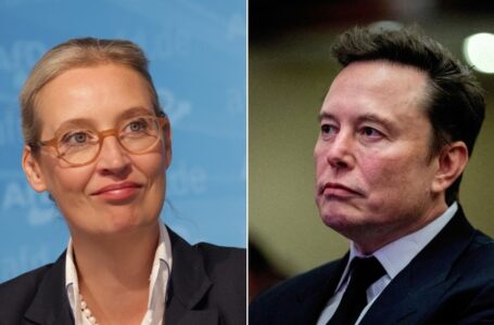 Musk urges Germans to vote for AfD in latest involvement in European politics