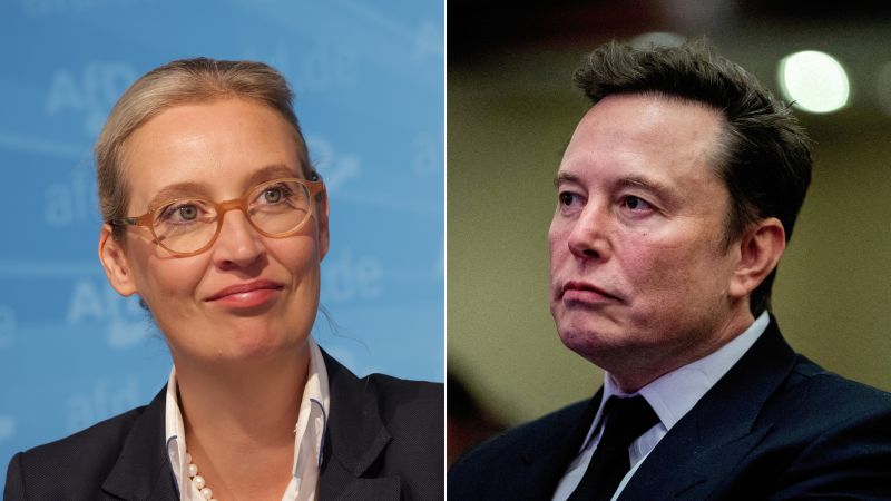  Musk urges Germans to vote for AfD in latest involvement in European politics