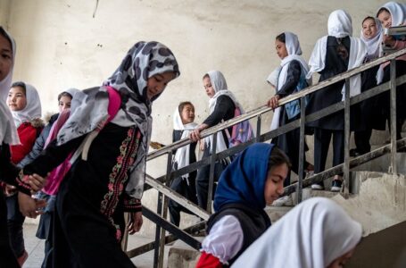 Taliban deputy urges leader to lift education bans on Afghan women and girls