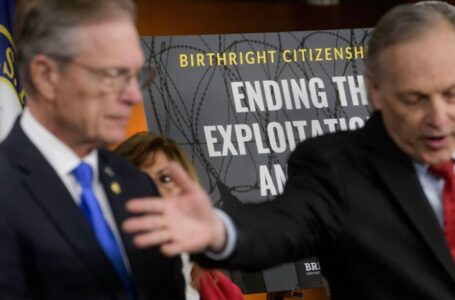 Birthright citizenship: Why the ‘right of soil’ is so big in the Americas