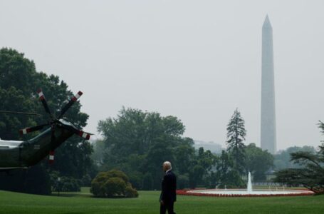 Biden says he is still considering pre-emptive pardons for Trump targets Liz Cheney, Fauci and others