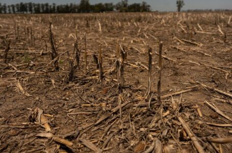 Climate change is disrupting food systems across Latin America, UN report says