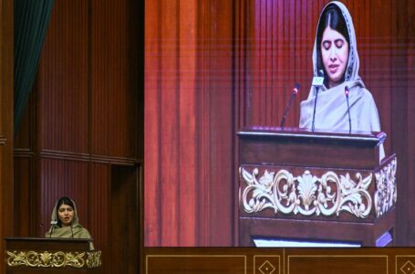 Malala Yousafzai urges Muslim leaders to back gender apartheid legal push