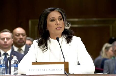 ‘Refuse to be their puppet’: Top 5 moments from Tulsi Gabbard’s confirmation hearing