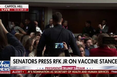 Multiple outbursts erupt at RFK Jr hearing: ‘You are!’