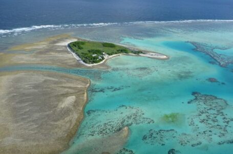 Coral bleaching on Australia’s Great Barrier Reef reaches ‘catastrophic’ levels, study finds