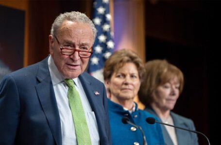 Schumer supports Democrats delaying all Trump nominees who lack unanimous support