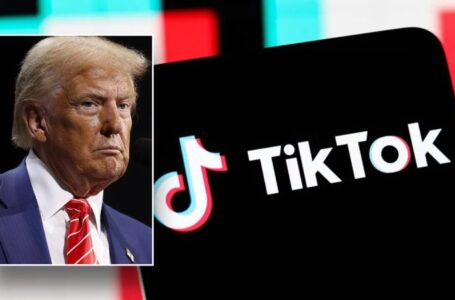 Trump needs ‘time to review’ SCOTUS decision to uphold TikTok ban, teases action in ‘not too distant future’