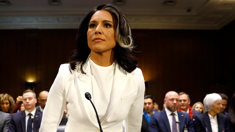  Top Senate Intelligence Dem grills Gabbard if Edward Snowden is ‘brave’: ‘Very troubling’