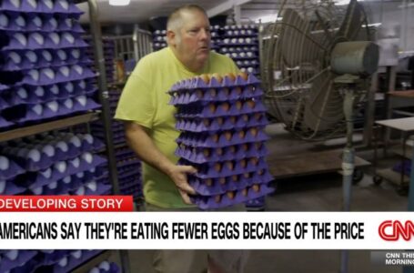 As egg prices soar, US Customs and Border Protection cracks down on egg smuggling