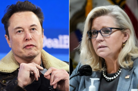 ‘Damn right’: Liz Cheney’s past USAID employment faces backlash after lashing out at Elon Musk