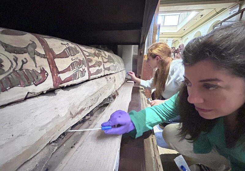  The scent of a mummy: Research discovers ancient Egyptian remains smell nice