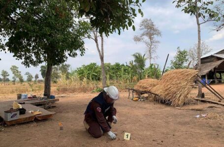 Decades-old grenade kills two toddlers in rural Cambodia