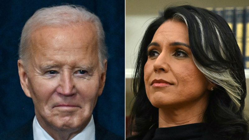  Gabbard says Biden admin ignored ‘highly inappropriate’ chats happening at national security agencies