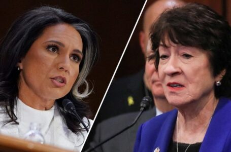 Crucial moderate GOP senator backs Tulsi Gabbard ahead of committee vote