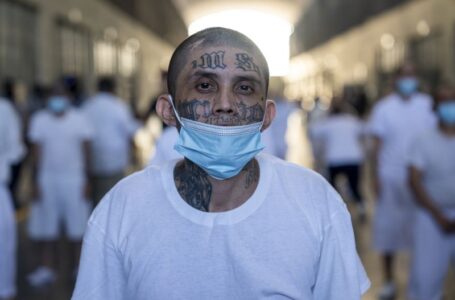 The US now considers these cartels and gangs terrorist groups. Here’s what to know about them