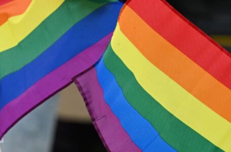 LGBT Americans reach record number, more likely to be Dems, Gen Z: Gallup poll